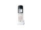 Smart Home Panasonic KX-HNH100FXW