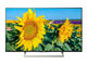 Телевизори Sony KD-49XF8096