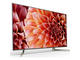 Телевизори Sony KD-65XF9005