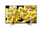 Телевизори Sony KD-49XG8096