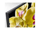 Телевизори Sony KD-65XG8096B
