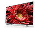 Телевизори Sony KD-55XG8596