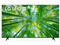 Телевизори LG 75UQ80003LB