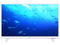 Телевизори Philips 24PHS5537