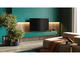 Телевизори Loewe bild i 65 dr+