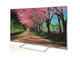 Телевизори Panasonic TX-47AS740
