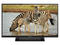 Телевизори Panasonic TX-32A400E