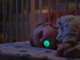 Залъгалки Philips Avent Pacifier Ultra Soft NightTime SCF094/05, 18+ м., 2 броя